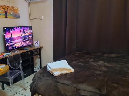 科罗尔Paradise Comfort的一间卧室配有一张床、一张书桌和一台电视