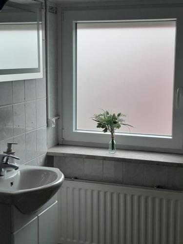 大格勒瑙TannenQuartier - Ihr Ferienhäuschen的一间带水槽的浴室和一个带植物的窗户
