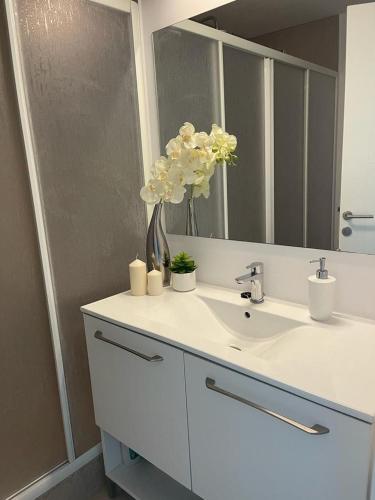 奥林普Studio G712 Blaxy的浴室配有带镜子和鲜花的盥洗盆