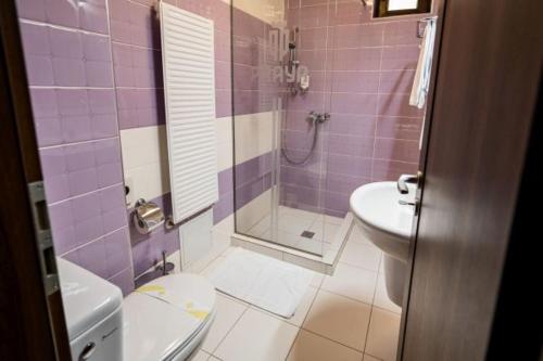 斯拉蒂纳Praya Boutique的紫色浴室设有卫生间和水槽