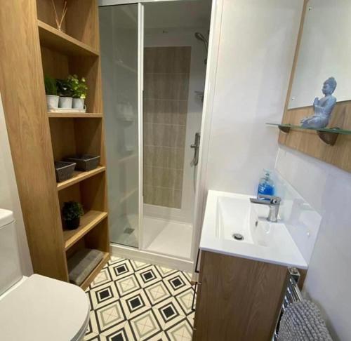 UlromeThe Luxe Lodge, Skipsea Sands Bridlington的浴室配有白色水槽和淋浴。