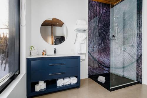 Saint-FaustinLoft Exécutif CherLieu的浴室配有蓝色梳妆台和淋浴。