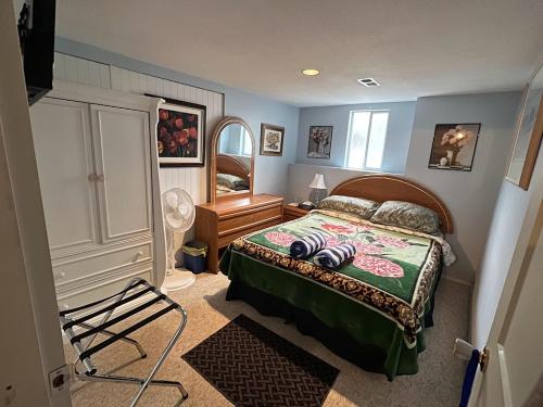 阿伯茨福德Anita's Bed & Breakfast - Bedroom On Ground Floor With Backyard的一间卧室配有一张床和一把椅子