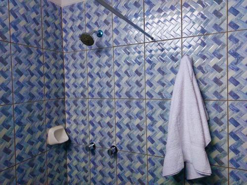 帕拉卡斯Kasanty House的蓝色瓷砖浴室提供毛巾和淋浴
