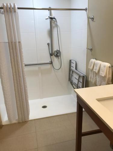 萨默维尔Comfort Suites的带淋浴和浴帘的浴室