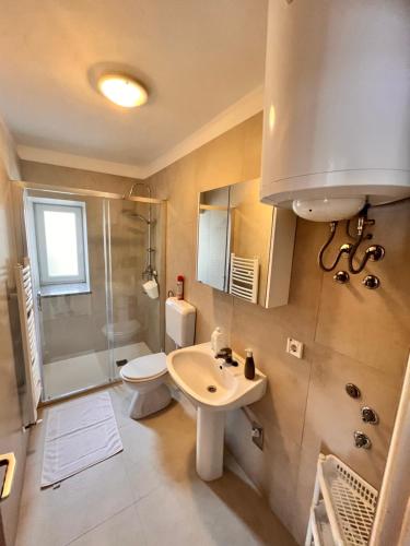 拉巴克Pet friendly Apartments Licul的一间带水槽、卫生间和淋浴的浴室