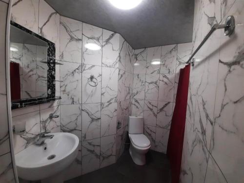 OniDali Guest House的一间带水槽和卫生间的浴室