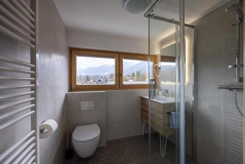 博希尼布里娜公寓的一间带卫生间、水槽和窗户的浴室