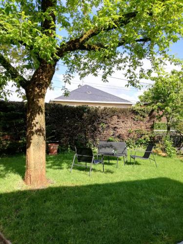 罗德兹studio avec jardin à Rodez的树下两把椅子和一张桌子
