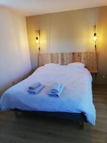 罗德兹studio avec jardin à Rodez的一间卧室配有一张床,上面有两条毛巾