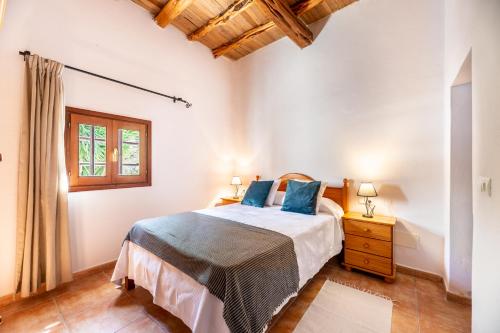 桑玛特德阿巴卡Villa Can Pep D'en Puig的一间卧室配有一张带蓝色枕头的床和一扇窗户。