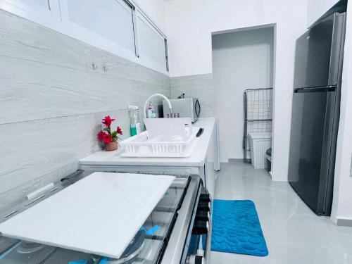 巴特亚姆New! Your home in Israel Luxury Suite的白色的厨房配有水槽和冰箱