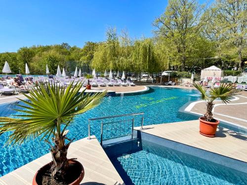 金沙BSA Holiday Park Hotel - All Inclusive的度假村内一座带两棵棕榈树的游泳池