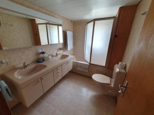 Unterschächen乌腾斯查岑假日公寓酒店的一间带水槽、卫生间和镜子的浴室