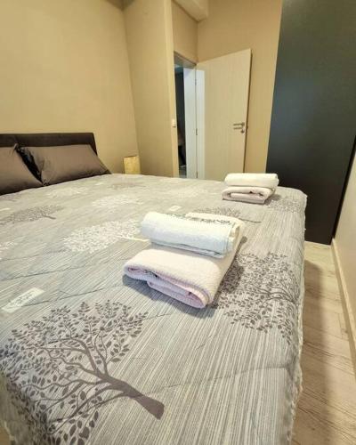 弗拉涅Apartman Rojal Vranje的一间卧室配有带毛巾的床