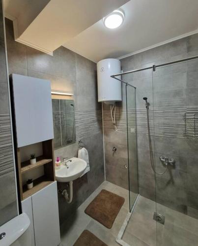 弗拉涅Apartman Rojal Vranje的带淋浴和盥洗盆的浴室