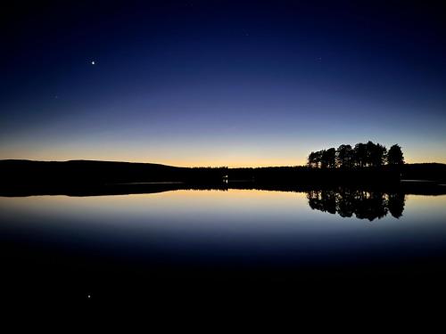 SvanskogSvaneholm Hotel的享有湖泊的夜间树木美景