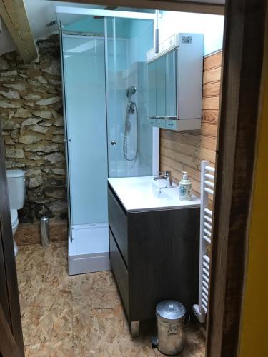 Saint-SeverChambre chez l'habitant Corail cuisine et sdb partagées的一间带水槽和淋浴的浴室
