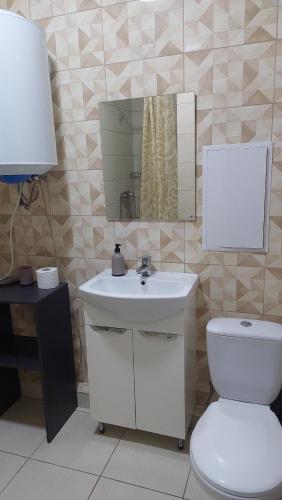 鲍里斯皮尔SKY&KTS Apartments的一间带卫生间、水槽和镜子的浴室