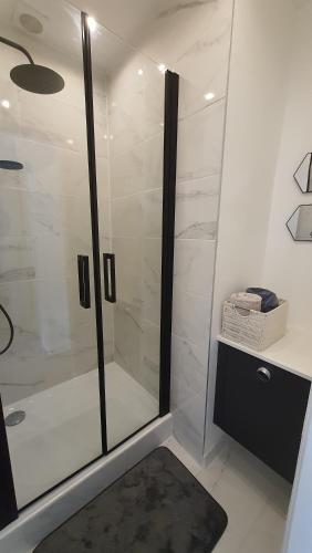 埃皮纳勒LA VALENTINE的浴室设有黑色地毯和玻璃淋浴间