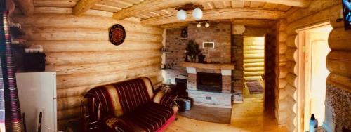斯拉夫西克Коло Хорса的小木屋内带壁炉的客厅