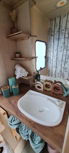 蒙特普利斯尚伯德Caravane l'attrape-rêve aux portes du château de Chambord et Cheverny的浴室设有木制桌子上的白色大浴缸