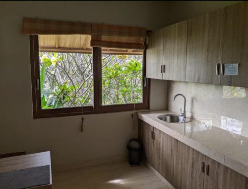 金巴兰普瑞萨比那住宿加早餐旅馆的厨房设有水槽和窗户。