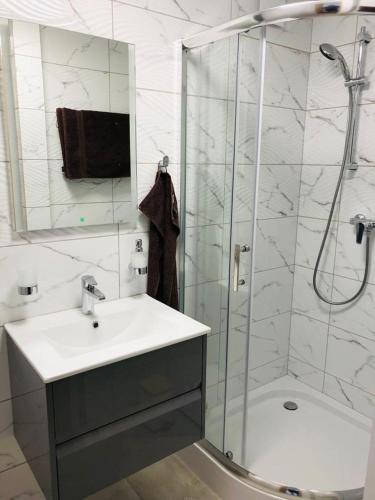 弗瓦迪斯瓦沃沃Apartament Morski Relaks的带淋浴、盥洗盆和淋浴的浴室
