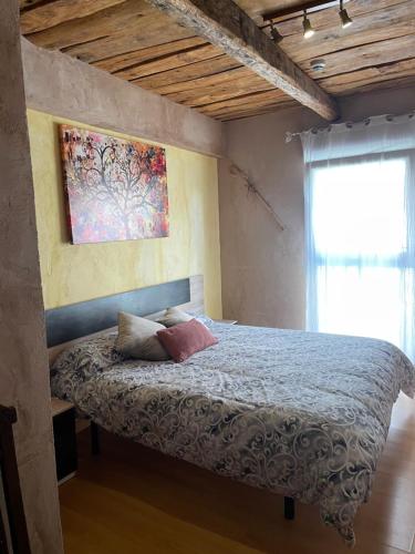 萨阿贡Albergue hostal Sahagún的一间卧室配有一张带两个枕头的床