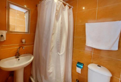 开罗Travelers House的浴室设有白色的淋浴帘和水槽