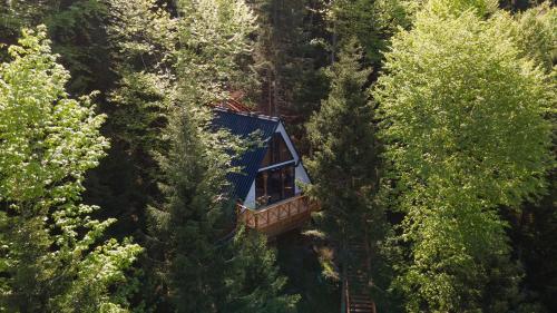 特拉布宗Montana Suite Bungalows的森林中间的树屋