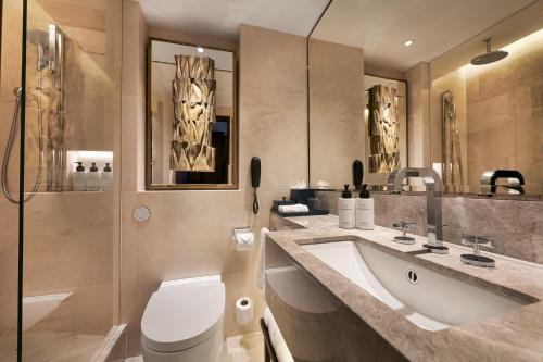 伦敦洲际伦敦公园弄度假酒店的一间带水槽、卫生间和淋浴的浴室