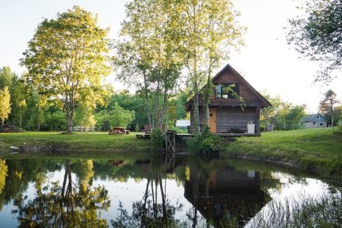 PalukülaPaluküla Glamping Kase的树河畔的小木屋