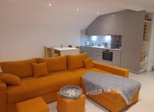 IlindenJan-Air的一间带橙色沙发的客厅和一间厨房