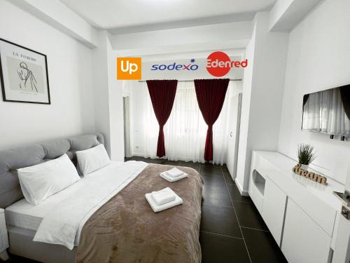 苏恰瓦Cozy Aparthotel - Central City Suceava的一间带床和电视的小卧室