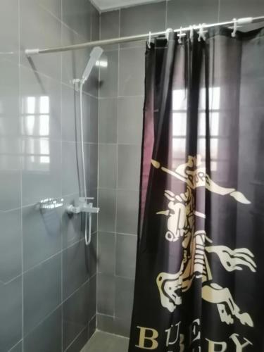 阿克拉Terra Santa Lodgings的浴室里挂着龙的浴帘