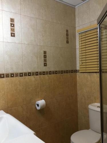 圣费尔南多Foothills Apartment 28 Vacation Nest的浴室设有卫生间和卫生纸卷