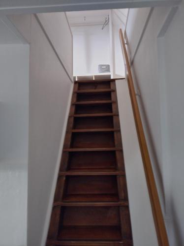 Erlach2 1/2 Zimmer Ferienwohnung的楼梯通往带梯子的房间