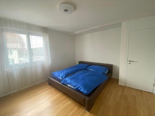 RickenbachMinergie的一间卧室配有一张带蓝色床单的床和一扇窗户。
