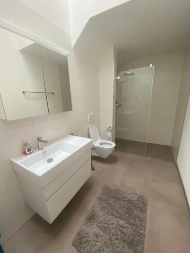 RickenbachMinergie的白色的浴室设有水槽和卫生间。