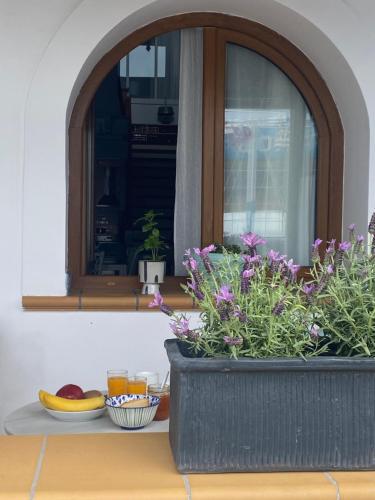毕达哥利翁Beachfront House Pythagorion的桌子上一盆鲜花的窗户