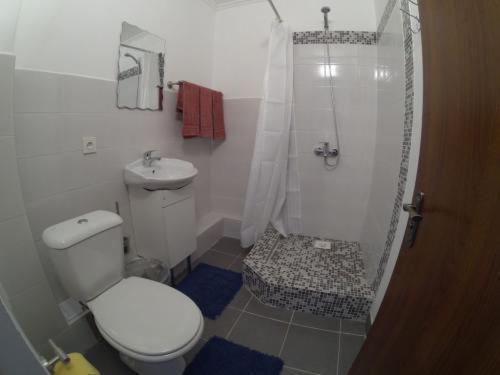 博斯特里艾弗洛帕酒店的带淋浴、卫生间和盥洗盆的浴室