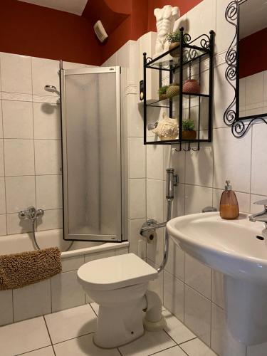 埃森großzügige Monteurwohnung的带淋浴、卫生间和盥洗盆的浴室