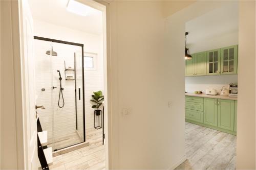 布加勒斯特METROPOLE APARTMENTS ATENEUM RESIDENCE的一间带绿色橱柜淋浴的浴室