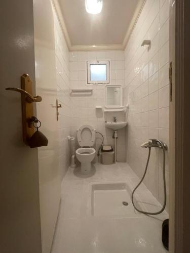 胡塞马Hôtel ALMUNECAR的白色的浴室设有卫生间和水槽。