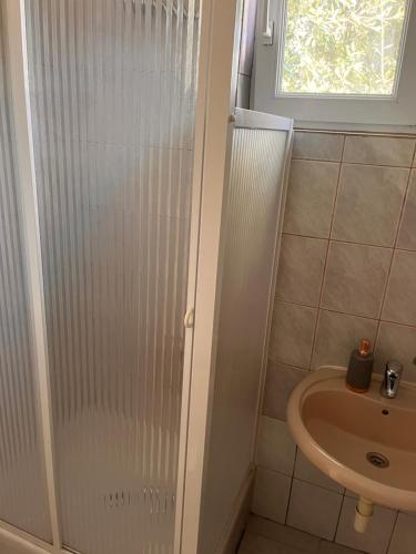 佩特坎内Apartman Bari Petrcane的带淋浴和盥洗盆的浴室