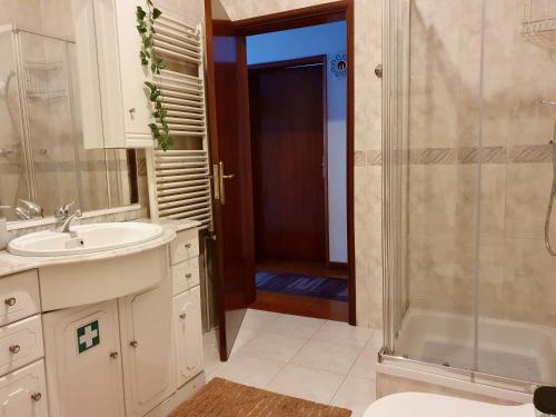 瓦莱迪坎布拉Rosinha Country House的一间带水槽和淋浴的浴室