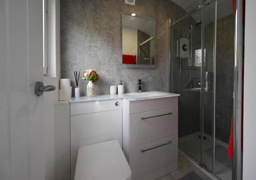 威廉堡The Carriage的浴室配有白色水槽和淋浴。