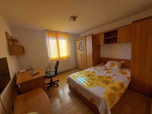 克拉约瓦Casă centru的一间卧室配有一张床、一张桌子和一把椅子