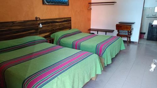 瓦哈卡市El Rincón de Doña Bety的绿粉色旅馆客房的两张床